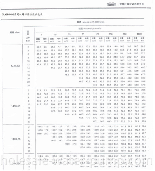 Double screw pump 2